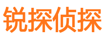 常宁市调查公司